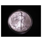 Silver Eagle Dollar 2000