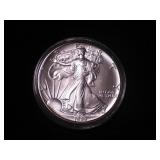 Silver Eagle Dollar 1989