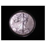 Silver Eagle Dollar 2013