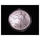 Silver Eagle Dollar 2007