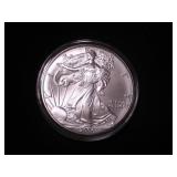 Silver Eagle Dollar 2006