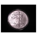Silver Eagle Dollar 2008