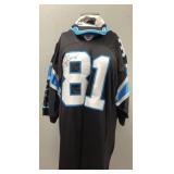 SIGNED #81 RICKY PROEHL  JERSEY & VISOR