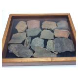 YADKIN COUNTY FOSSIL COLLECTION IN DISPLAY
