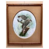 FRAMED CECIL EAKINS HAWK PRINT