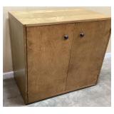 DOUBLE DOOR STORAGE CABINET