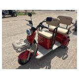 NEW IRGC40 Mini Trike Golf Cart