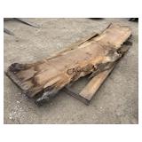 Cedar Slab Approx. 12