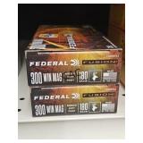 20rds Federal Fusion 300 Win Mag 180gr BSP