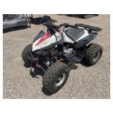 Mini Four-Wheeler
