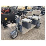 NEW IRGC40 Mini Trike Golf Cart (Purple)