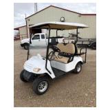 2013 Star Car 48V Electric Golf Cart