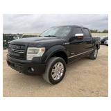 *2013 Ford F-150 Platinum Crew Cab
