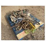 Lot of Horse Tack and Accessories