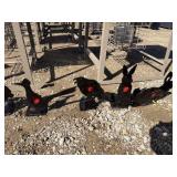 Lot of 4 Mini Big Daddy Shooting Targets