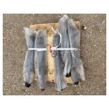 5pc Hydraulic Cylinders
