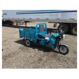 NEW SD Lanch IRET13 Trike w/Dump Bed