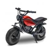 NEW Kandi Trail King E500 Electric Mini Bike