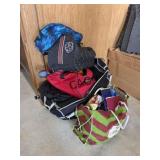 Lot of Assorted Bags and Backpacks