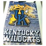 2002 University of Kentucky Wildcats poster