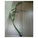 Cobra compound bow.