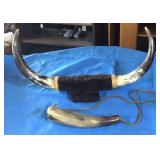 One mounted set of steer horns