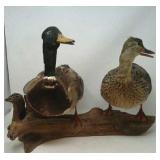 2 stuffed ducks on a piece of driftwood.