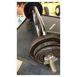 Weider bar bell and weights.