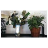 4 House plants,