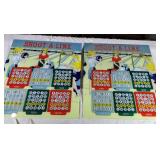 TWO Shoot A Line Backglass Bowling Theme