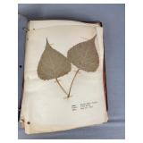 1932 Horticulture scrapbook