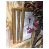 Pair of framed decorator pictures 11x22