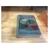 Treasure Island book