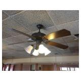 Ceiling fan