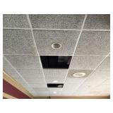 Ceiling tiles throughout