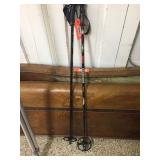 REI snowshoe poles