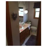 Contents of bathroom excluding items under sink