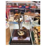 Butterflies in acrylic case. 6"x6"x13"