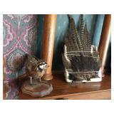 Bird mount & tail feathers