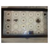 Collection of Meteorites