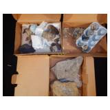 3BX Collected Fossils