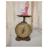 Columbia Family Scale