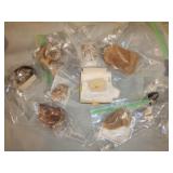 Large pieces of Fossils