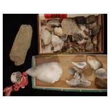 Lot of Fossils And Large Flint And Stone Tool
