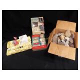 Calvert Cliffs Fossilized Seashells