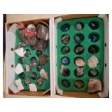 Fossils and Minerals