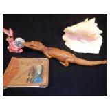 Alligator Conch Shell Asbury Park NJ photo book