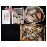 Large Collection Of Minerals And Crystals