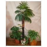 Palm Tree Planters and more