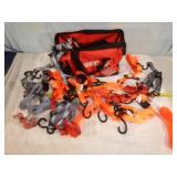 16 Plus Cargo Straps with Bag